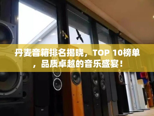 丹麦音箱排名揭晓，TOP 10榜单，品质卓越的音乐盛宴！