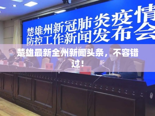 楚雄最新全州新闻头条，不容错过！