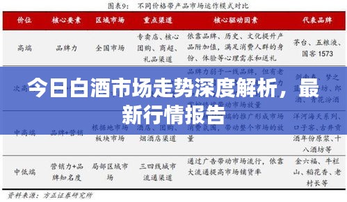 今日白酒市场走势深度解析，最新行情报告