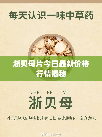 浙贝母片今日最新价格行情揭秘