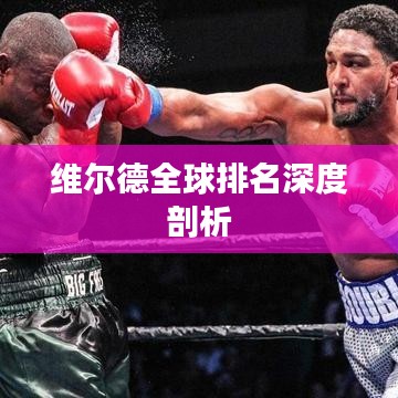 维尔德全球排名深度剖析