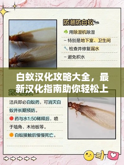 白蚁汉化攻略大全，最新汉化指南助你轻松上手！