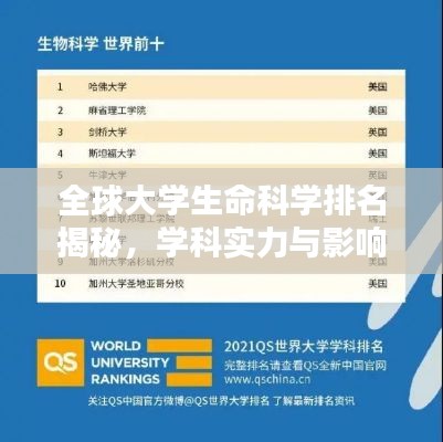 全球大学生命科学排名揭秘，学科实力与影响力解析