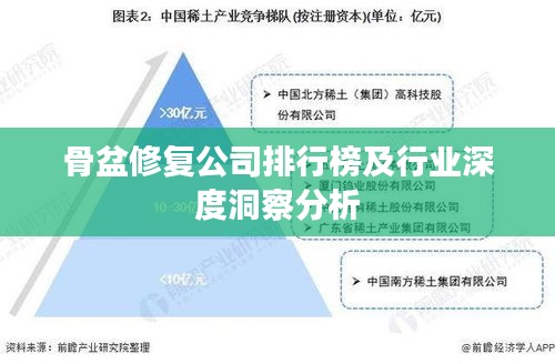 骨盆修复公司排行榜及行业深度洞察分析