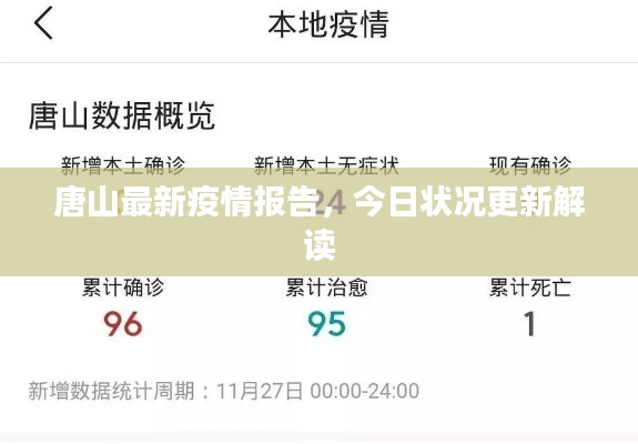 唐山最新疫情报告，今日状况更新解读