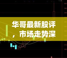 华哥最新股评，市场走势深度解析与未来展望