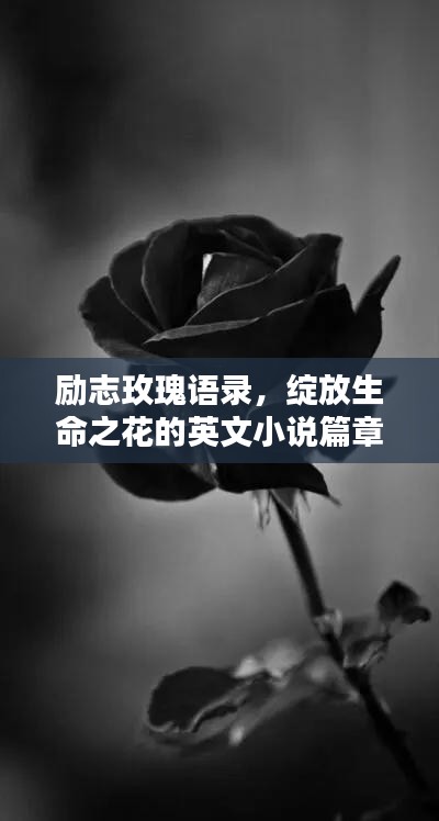 励志玫瑰语录，绽放生命之花的英文小说篇章，激励你前行！