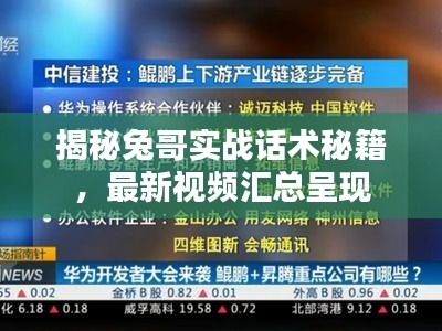 揭秘兔哥实战话术秘籍，最新视频汇总呈现