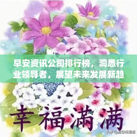 早安资讯公司排行榜，洞悉行业领导者，展望未来发展新趋势