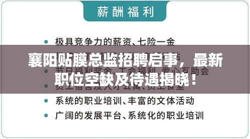 襄阳贴膜总监招聘启事，最新职位空缺及待遇揭晓！