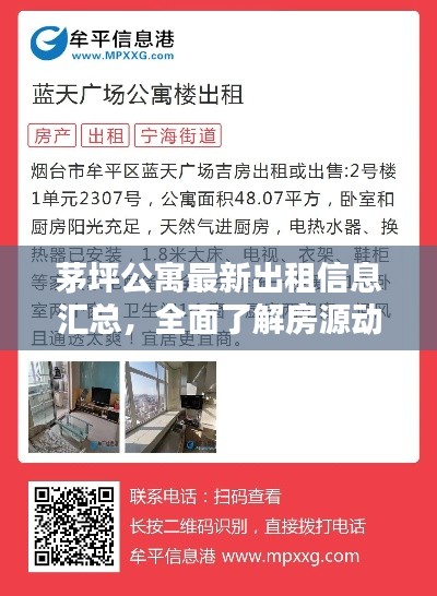 茅坪公寓最新出租信息汇总，全面了解房源动态！