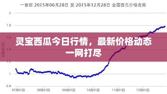 灵宝西瓜今日行情，最新价格动态一网打尽
