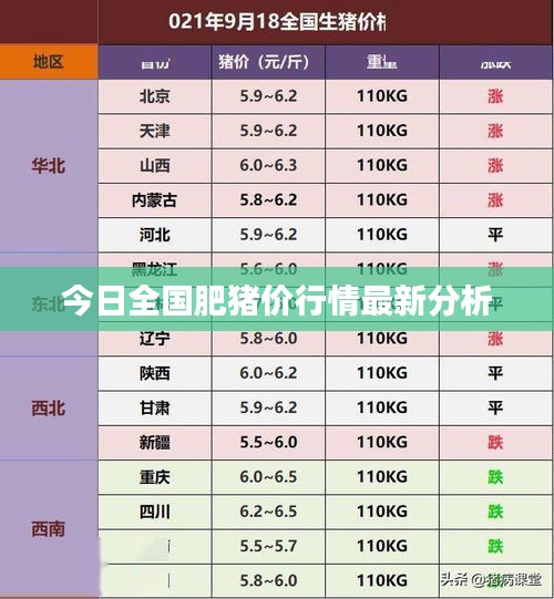 今日全国肥猪价行情最新分析