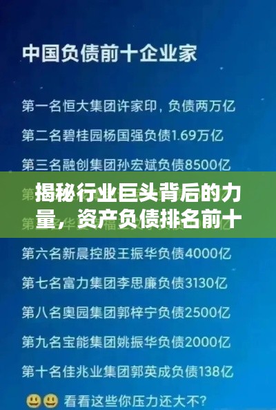 揭秘行业巨头背后的力量，资产负债排名前十公司解析