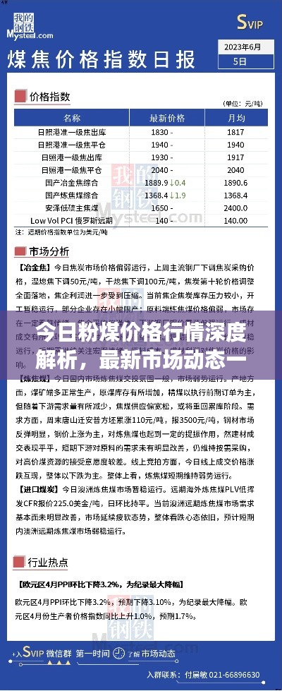 今日粉煤价格行情深度解析，最新市场动态一网打尽！