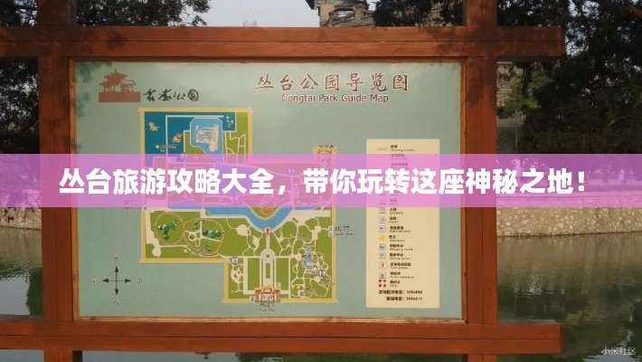 丛台旅游攻略大全，带你玩转这座神秘之地！