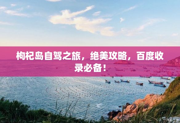 枸杞岛自驾之旅，绝美攻略，百度收录必备！