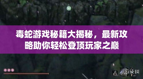 毒蛇游戏秘籍大揭秘，最新攻略助你轻松登顶玩家之巅