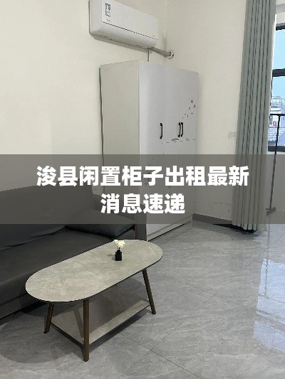浚县闲置柜子出租最新消息速递