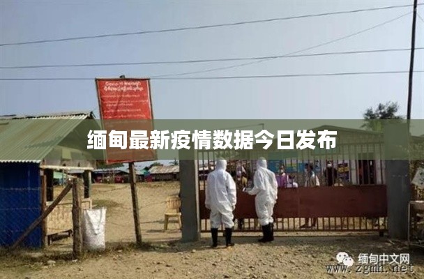 缅甸最新疫情数据今日发布