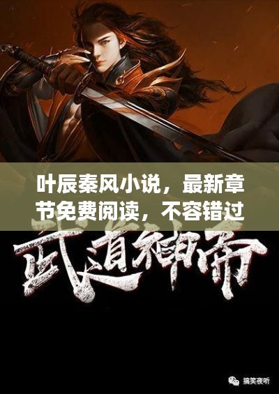 叶辰秦风小说，最新章节免费阅读，不容错过！