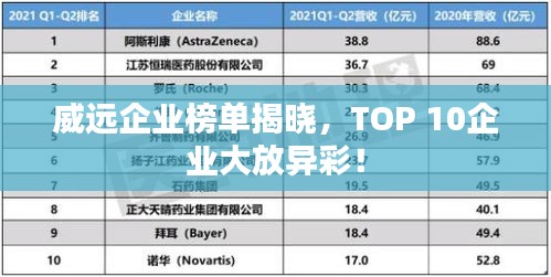 威远企业榜单揭晓，TOP 10企业大放异彩！