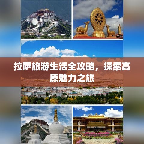 拉萨旅游生活全攻略，探索高原魅力之旅