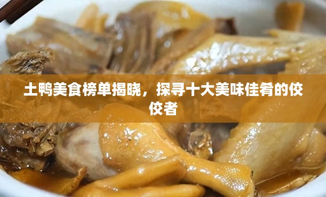 土鸭美食榜单揭晓，探寻十大美味佳肴的佼佼者