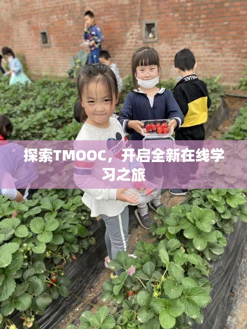 探索TMOOC，开启全新在线学习之旅