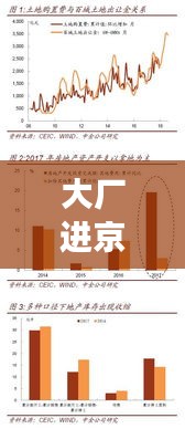 大厂进京最新规定解读，细节分析及其影响探讨