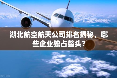 湖北航空航天公司排名揭秘，哪些企业独占鳌头？
