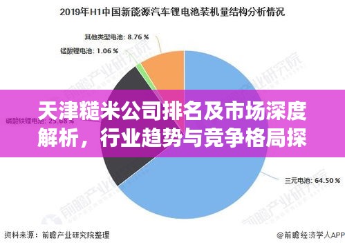 天津糙米公司排名及市场深度解析，行业趋势与竞争格局探究