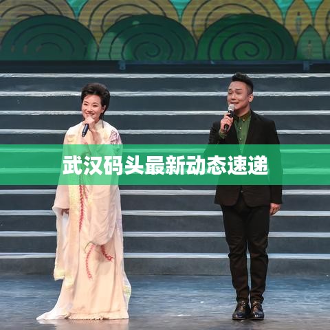 武汉码头最新动态速递