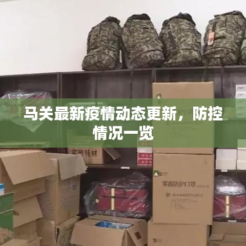 马关最新疫情动态更新，防控情况一览