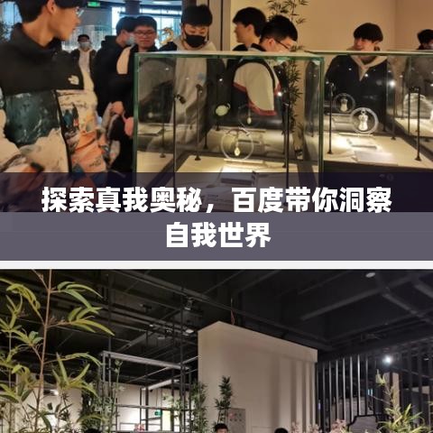 探索真我奥秘，百度带你洞察自我世界