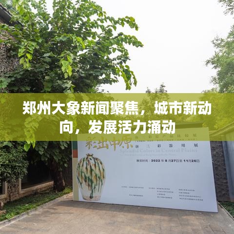 郑州大象新闻聚焦，城市新动向，发展活力涌动