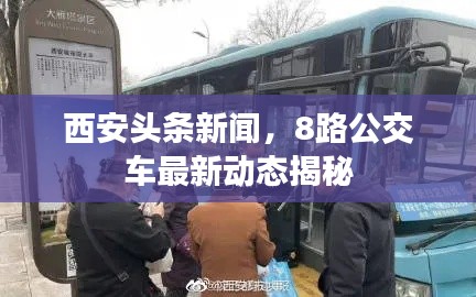 西安头条新闻，8路公交车最新动态揭秘