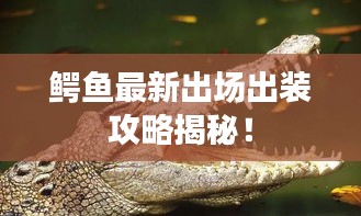 鳄鱼最新出场出装攻略揭秘！