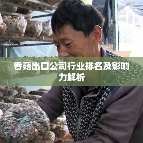 香菇出口公司行业排名及影响力解析