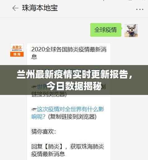 兰州最新疫情实时更新报告，今日数据揭秘