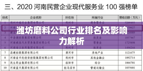 潍坊磨料公司行业排名及影响力解析