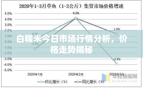 白糯米今日市场行情分析，价格走势揭秘