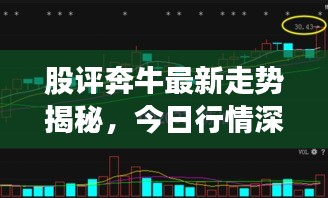 股评奔牛最新走势揭秘，今日行情深度解析