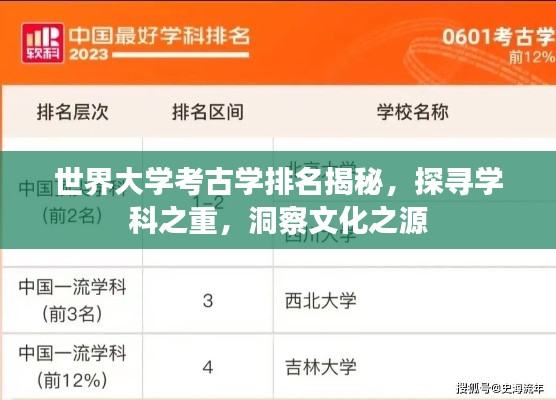 世界大学考古学排名揭秘，探寻学科之重，洞察文化之源