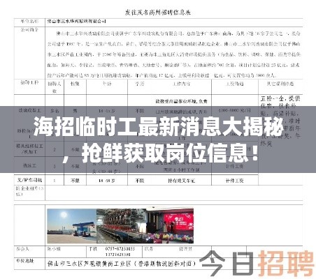 海招临时工最新消息大揭秘，抢鲜获取岗位信息！