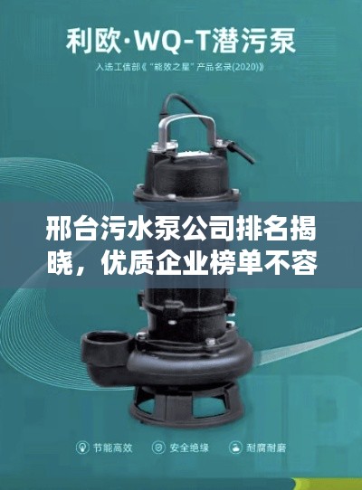 邢台污水泵公司排名揭晓，优质企业榜单不容错过！