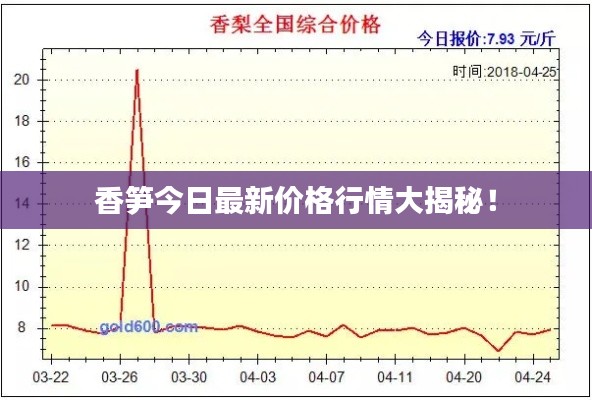 香笋今日最新价格行情大揭秘！