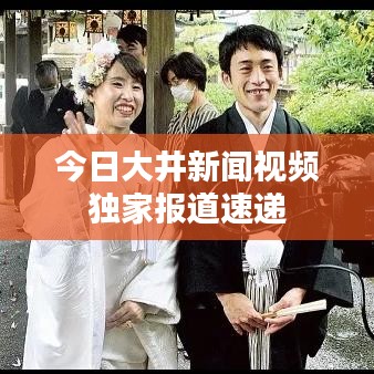 今日大井新闻视频独家报道速递