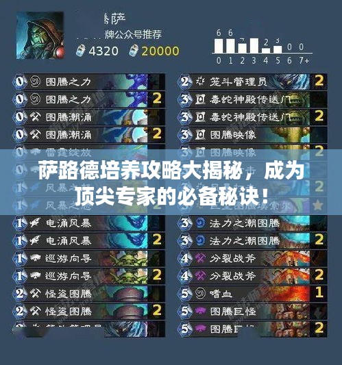 萨路德培养攻略大揭秘，成为顶尖专家的必备秘诀！