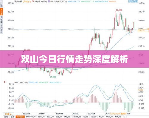 双山今日行情走势深度解析